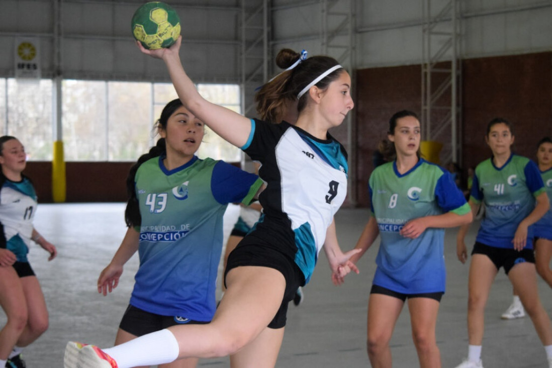 imagen La UNCUYO será sede del Torneo Sudamericano de Balonmano 