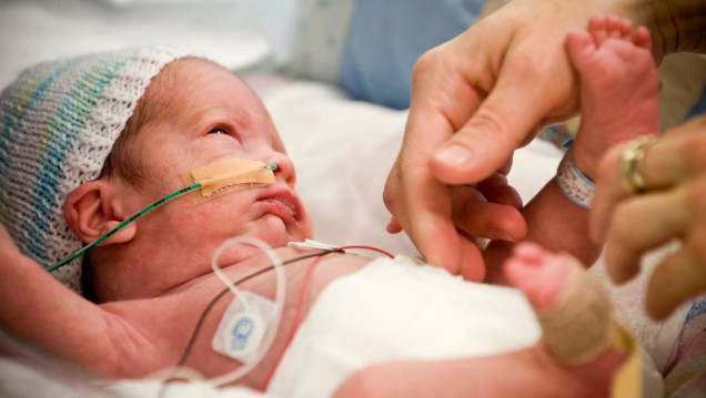 imagen "Defender el derecho de los bebés a ser alimentados por su mamá"