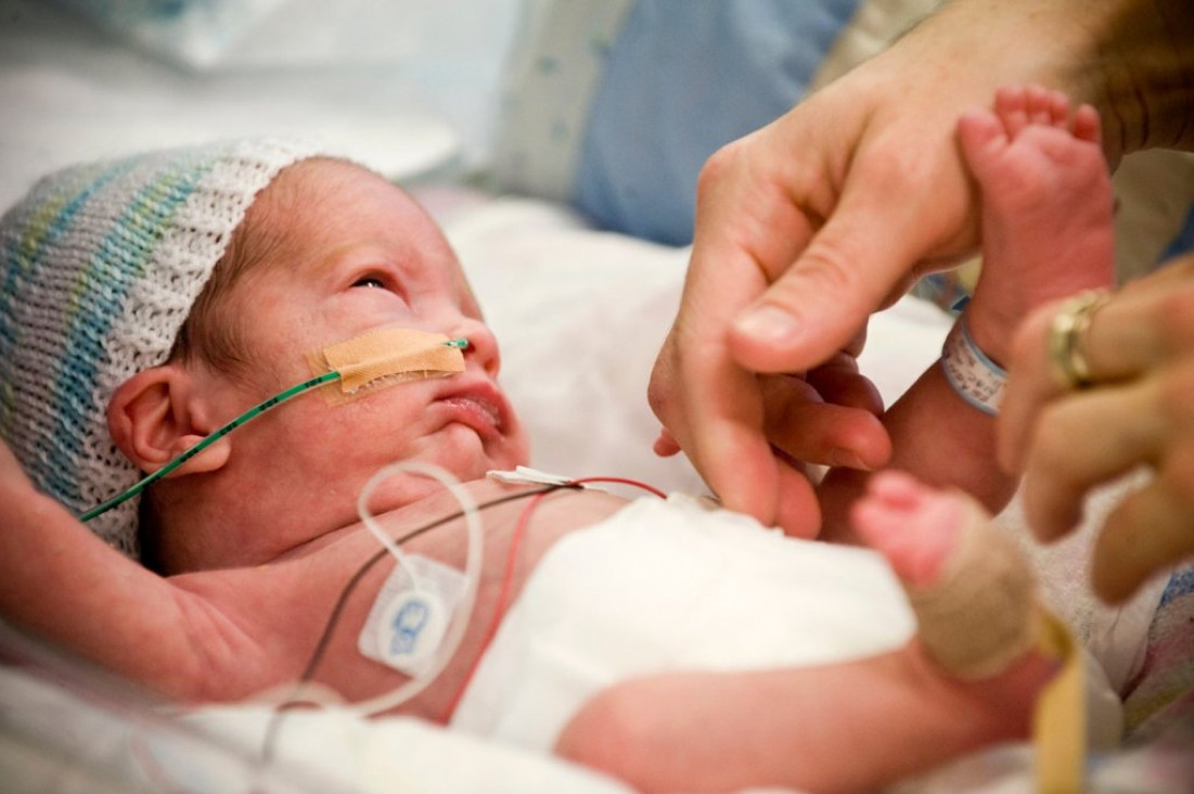 imagen "Defender el derecho de los bebés a ser alimentados por su mamá"
