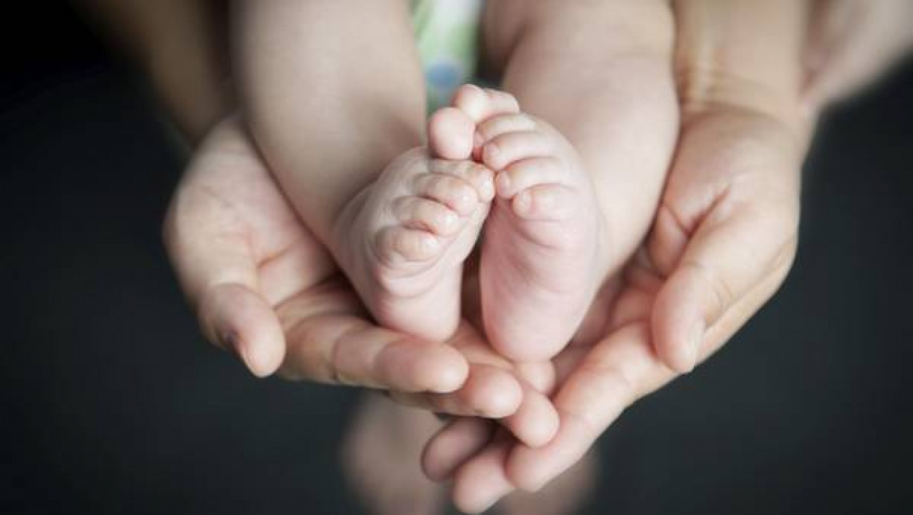 imagen Fallo inédito de jueza rosarina sobre maternidad subrogada