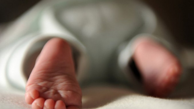 imagen Bioética y bebés de diseño: "Cada caso debe ser analizado en contexto"