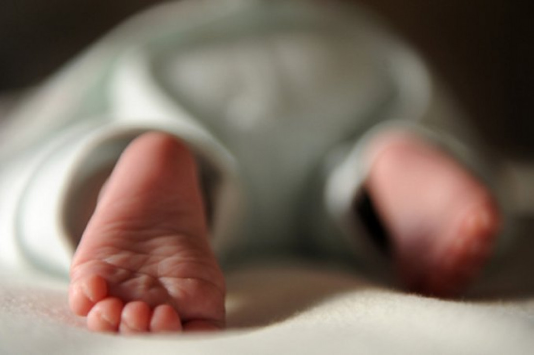 imagen Bioética y bebés de diseño: "Cada caso debe ser analizado en contexto"