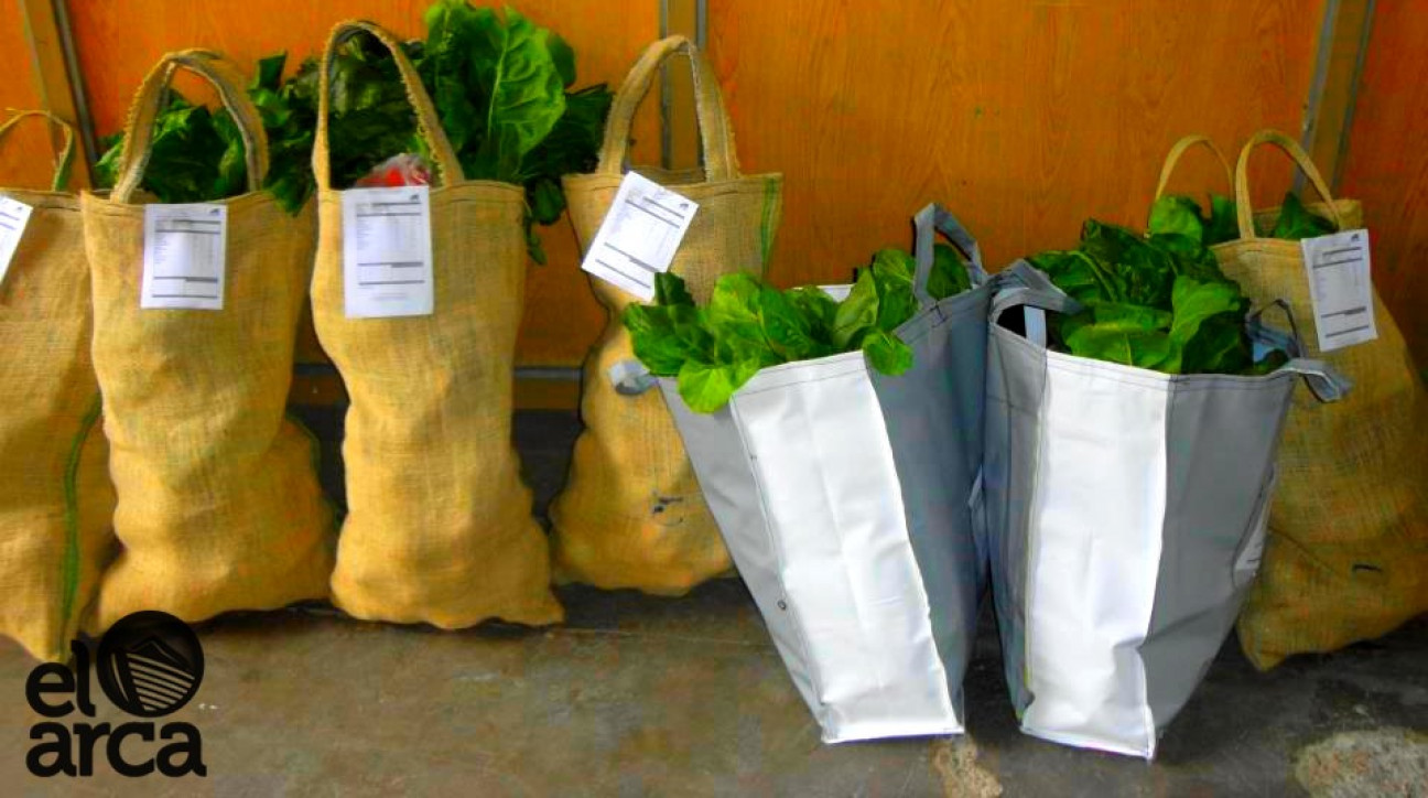 imagen Trabajar la huerta sin agroquímicos, una forma de la Economía Social