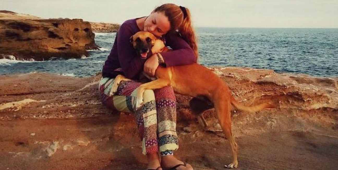 imagen Boni, la perra que viajó desde el Ecuador para reencontrarse con su dueña