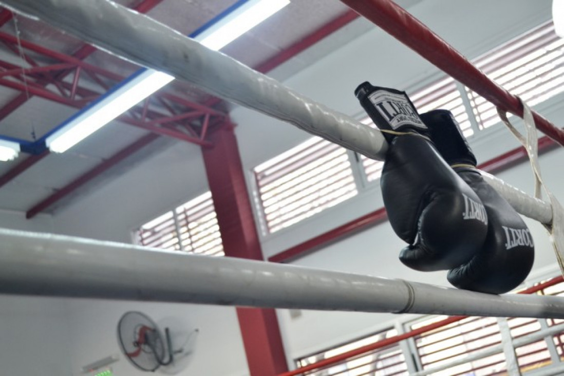 imagen Si de Boxeo se trata, que hable el que sabe.