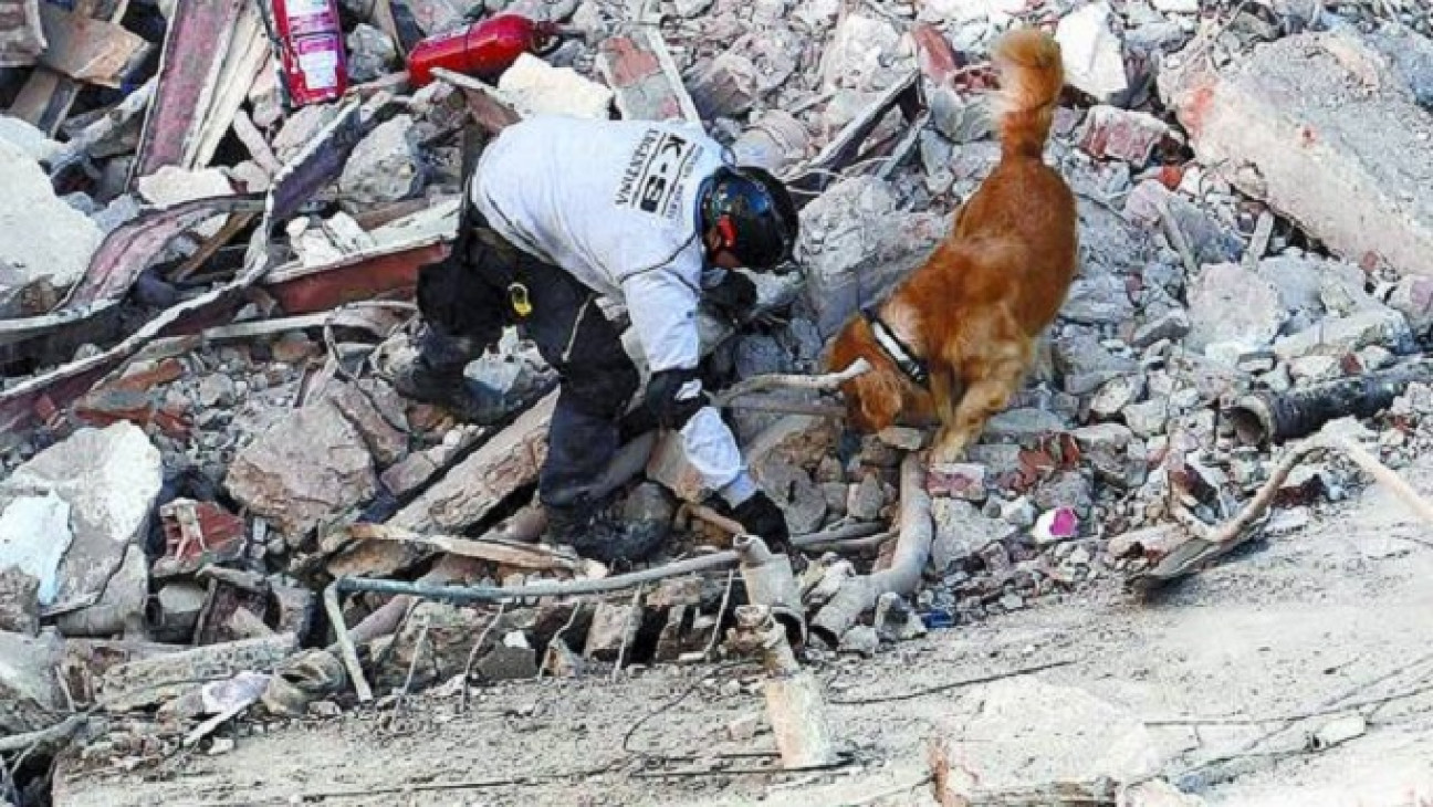 imagen Capacitarán a bomberos voluntarios en la búsqueda de personas bajo los escombros