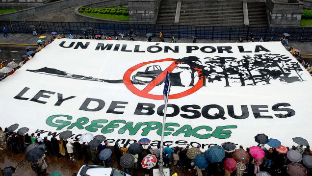 imagen Greenpeace denuncia que la deforestación en el norte del país fue de más de 125.000 hectáreas durante 2023