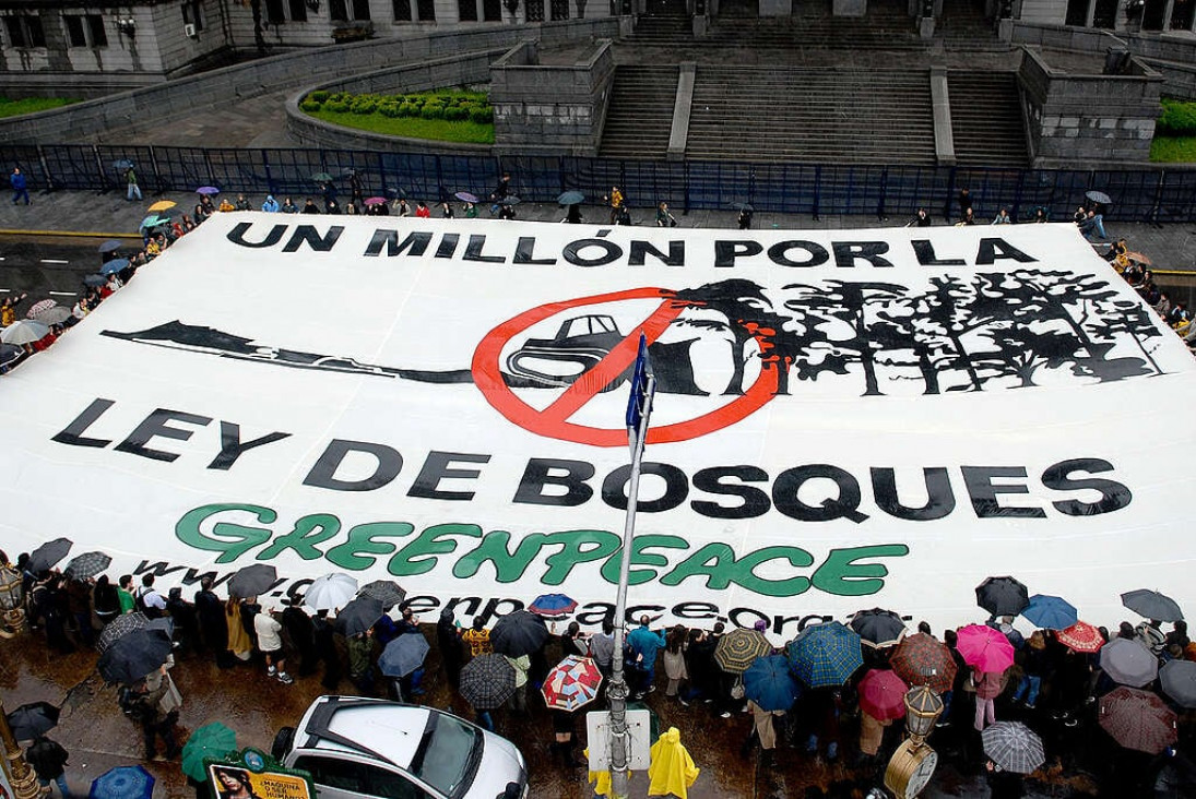 imagen Greenpeace denuncia que la deforestación en el norte del país fue de más de 125.000 hectáreas durante 2023