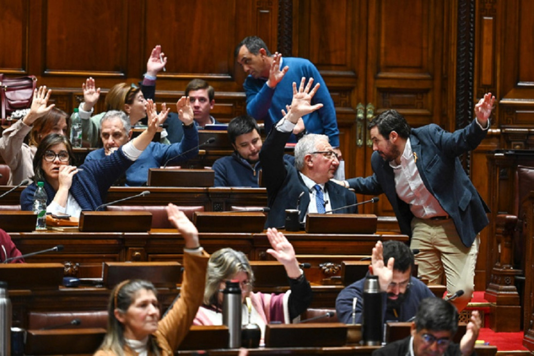 imagen Uruguay: avanza la primera ley de eutanasia de América Latina