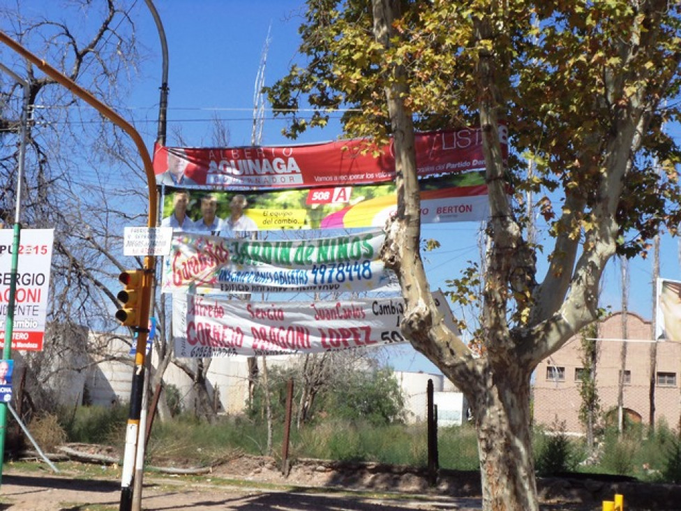 imagen La campaña política y el arbolado público