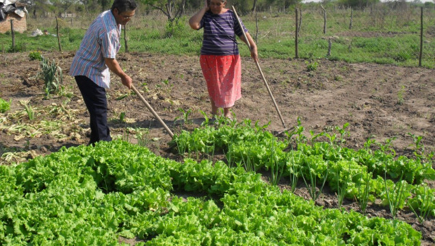 imagen Trabajadores de Agricultura Familiar reclaman respuestas por despidos