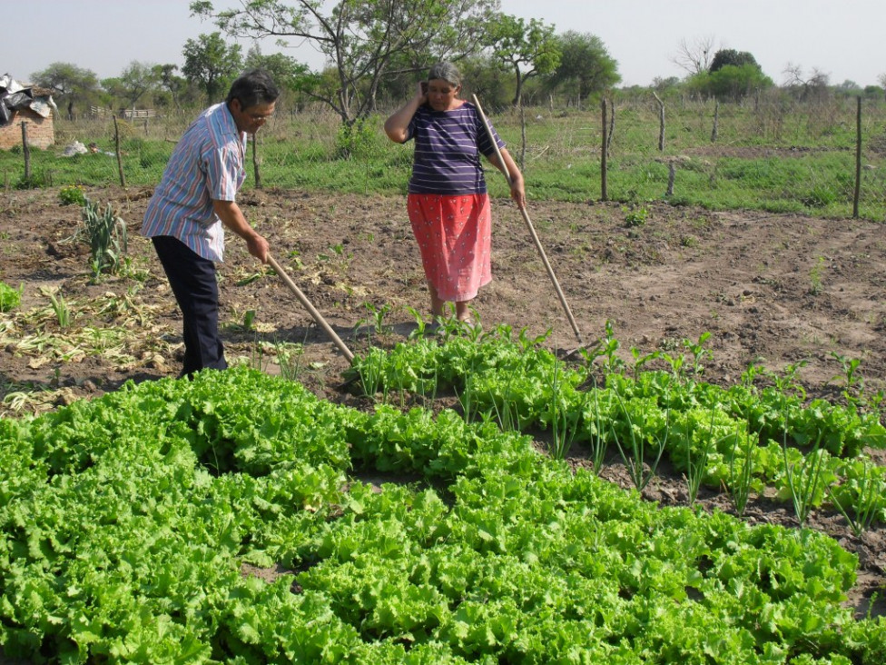 imagen Trabajadores de Agricultura Familiar reclaman respuestas por despidos