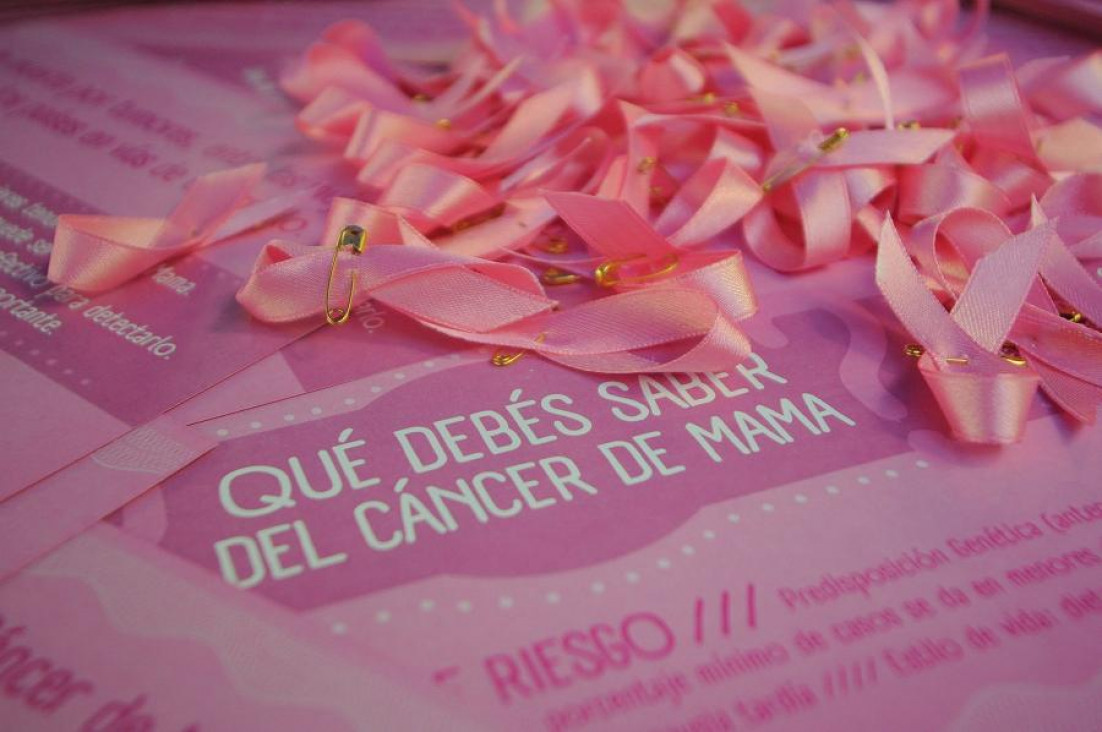 imagen Cáncer de mama: "Si le ganamos tiempo al cáncer le ganamos a la enfermedad"
