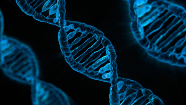 imagen Convenio para el estudio de la Genética del Cáncer