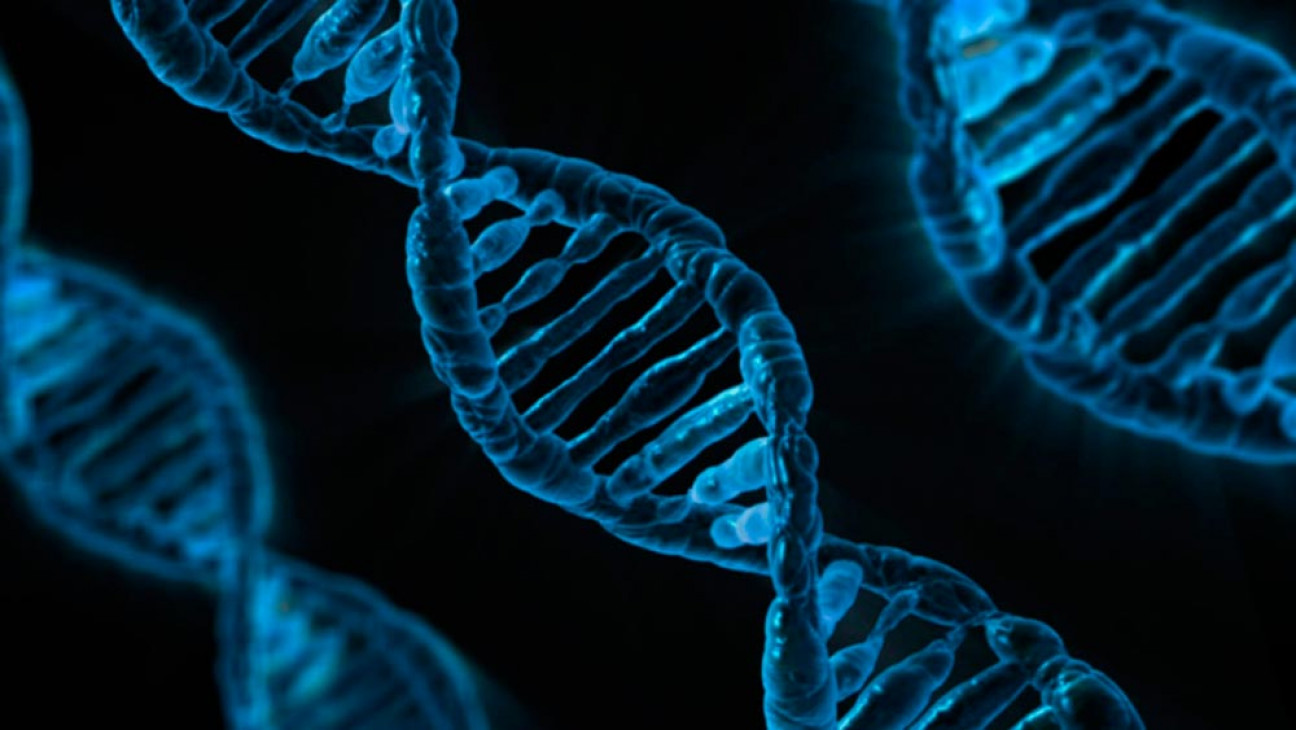 imagen Convenio para el estudio de la Genética del Cáncer