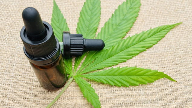 imagen Florencia Canali tildó de "acotada" la sanción inicial que busca el uso del cannabis medicinal 