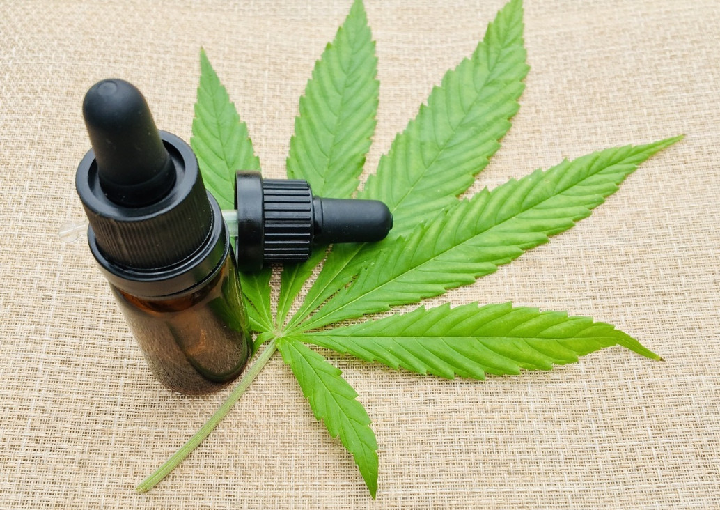 imagen Florencia Canali tildó de "acotada" la sanción inicial que busca el uso del cannabis medicinal 