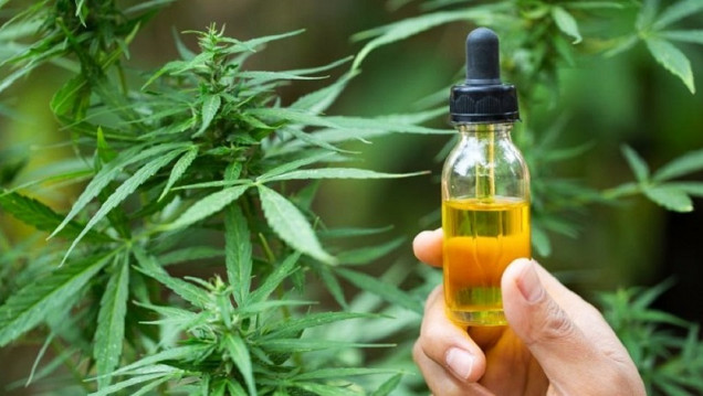 imagen En qué casos hay evidencia científica de los beneficios del cannabis medicinal