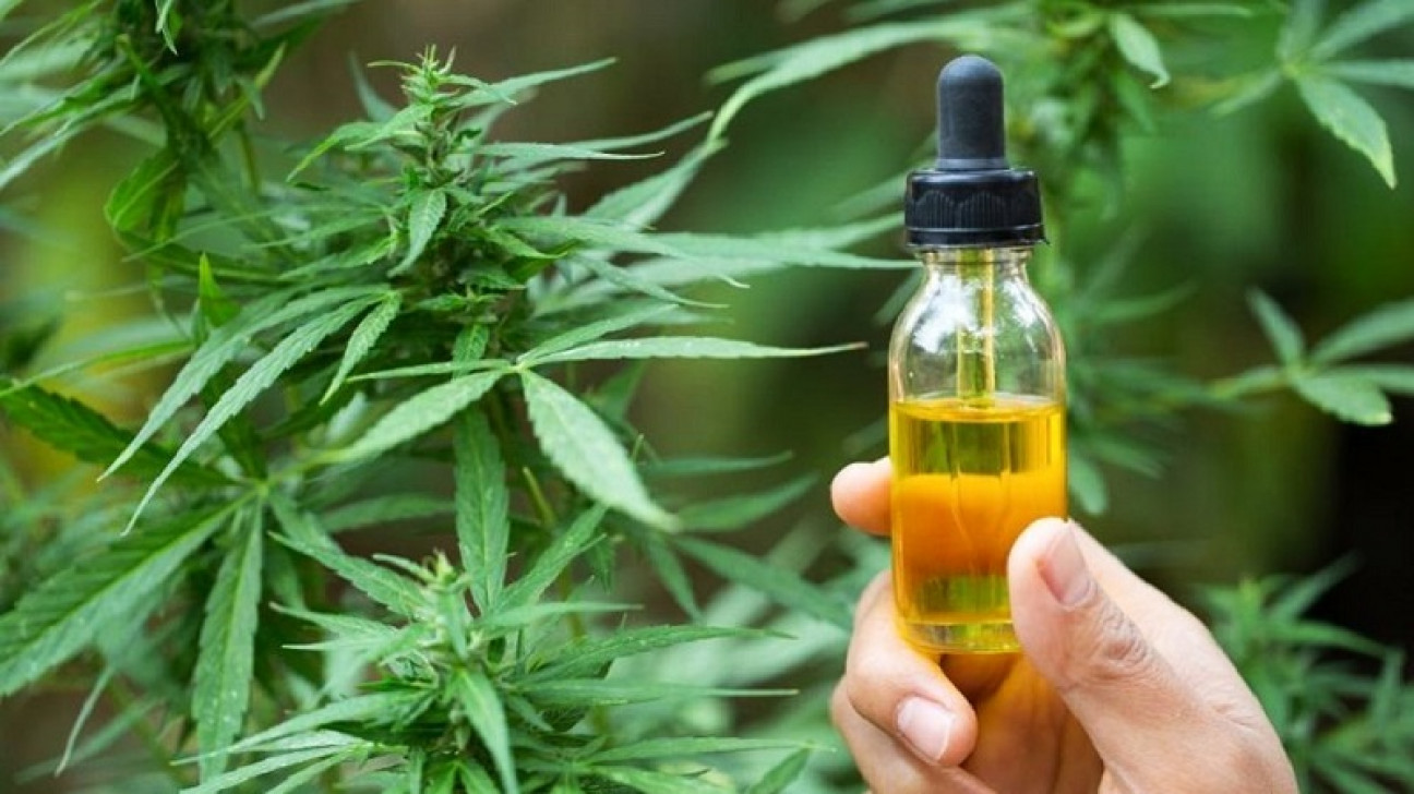 imagen En qué casos hay evidencia científica de los beneficios del cannabis medicinal