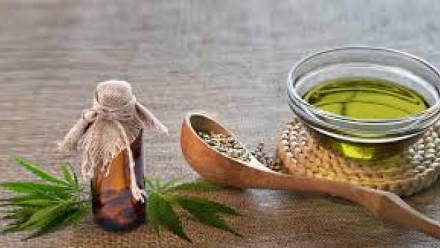 imagen "El apoyo al autocultivo es muy importante", señaló especialista en cannabis medicinal