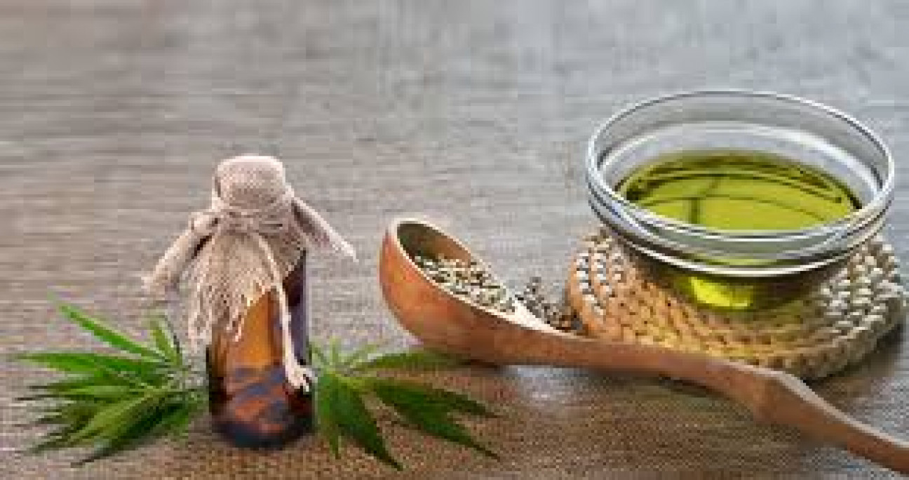 imagen "El apoyo al autocultivo es muy importante", señaló especialista en cannabis medicinal