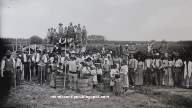 imagen Origen y desarrollo de los festejos vendimiales