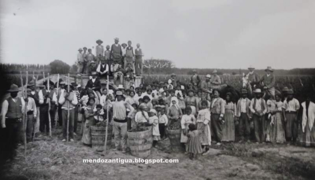 imagen Origen y desarrollo de los festejos vendimiales