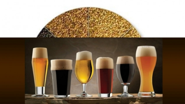 imagen Curso y degustación de cerveza artesanal en Antares