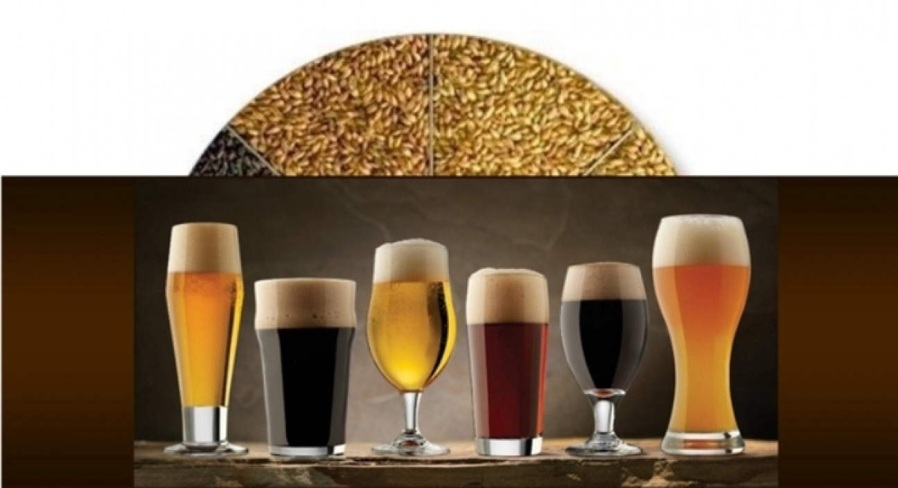 imagen Curso y degustación de cerveza artesanal en Antares