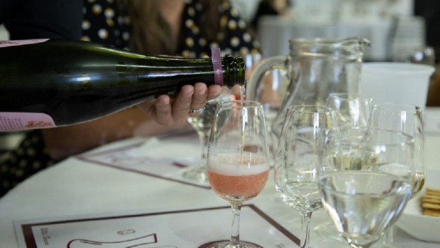 imagen Cómo se hace el champagne y por qué la UNCUYO tiene uno de los ejemplares más ricos 