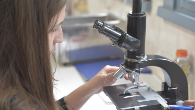 imagen La UNCuyo brindará becas para investigar y estudiar posgrados 