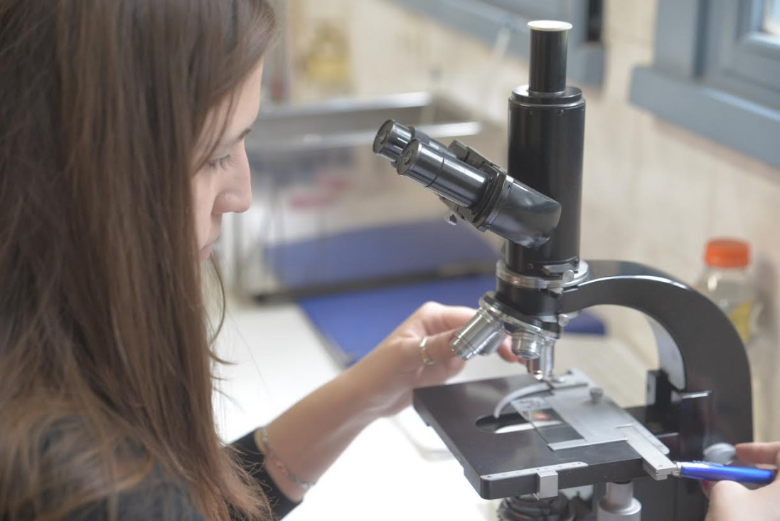 imagen La UNCuyo brindará becas para investigar y estudiar posgrados 