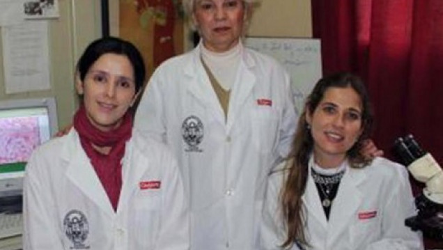 imagen Material para regenerar huesos se encuentra en proceso de evaluación 