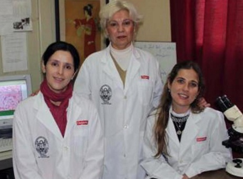 imagen Material para regenerar huesos se encuentra en proceso de evaluación 