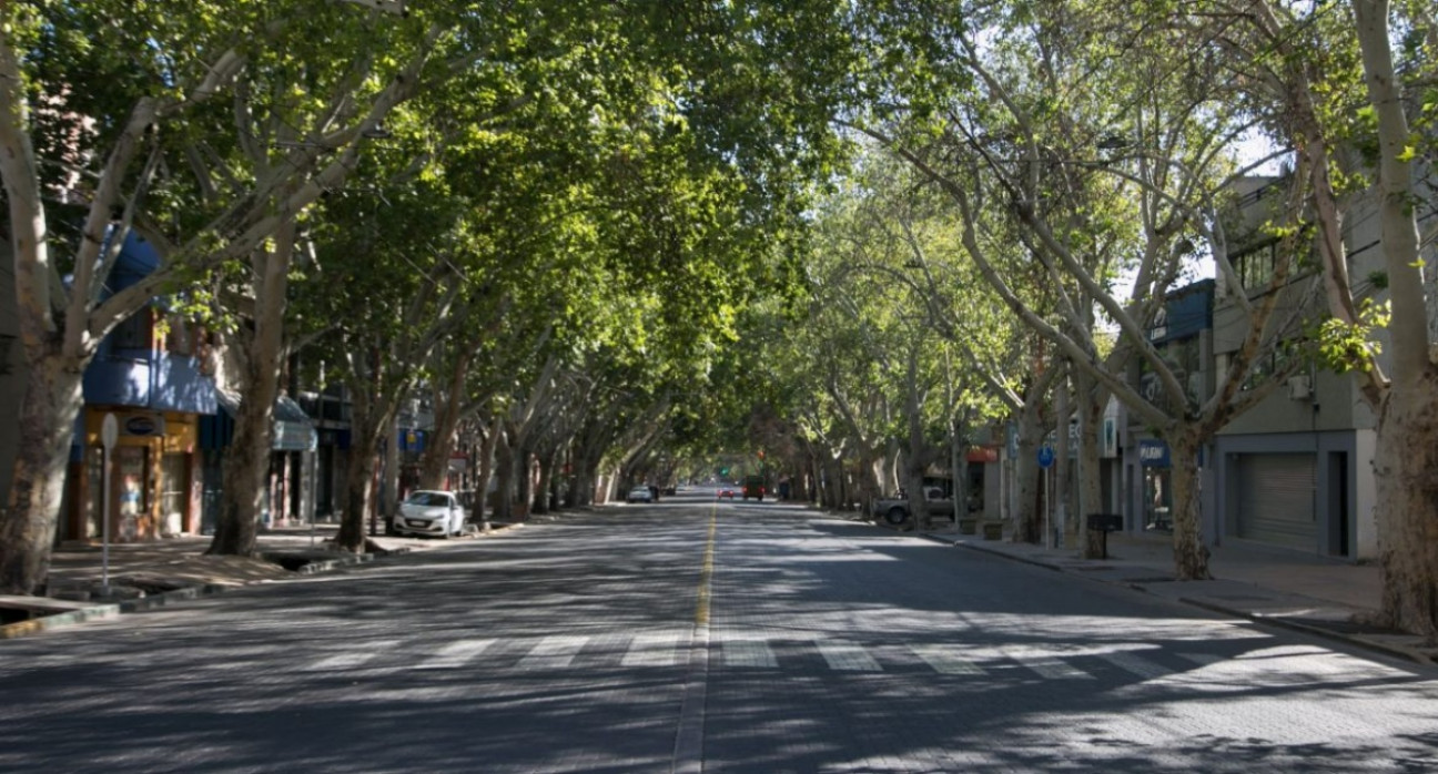 imagen La nueva Ley del Arbolado Público cambia las reglas en Mendoza