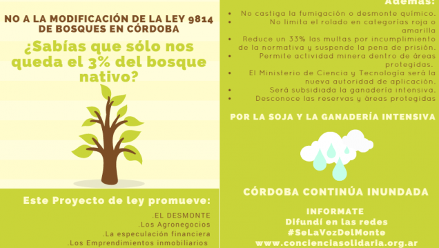 imagen La ONG Conciencia Solidaria advierte sobre la modificación de la Ley de Bosques en Córdoba
