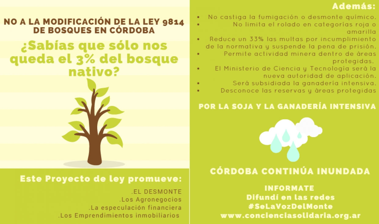 imagen La ONG Conciencia Solidaria advierte sobre la modificación de la Ley de Bosques en Córdoba
