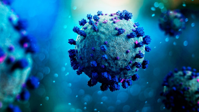 imagen Coronavirus: "Hay que llevar tranquilidad a la población"