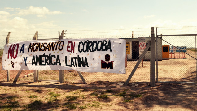 imagen Monsanto se retira de Malvinas Argentinas, según altos ejecutivos de la compañía