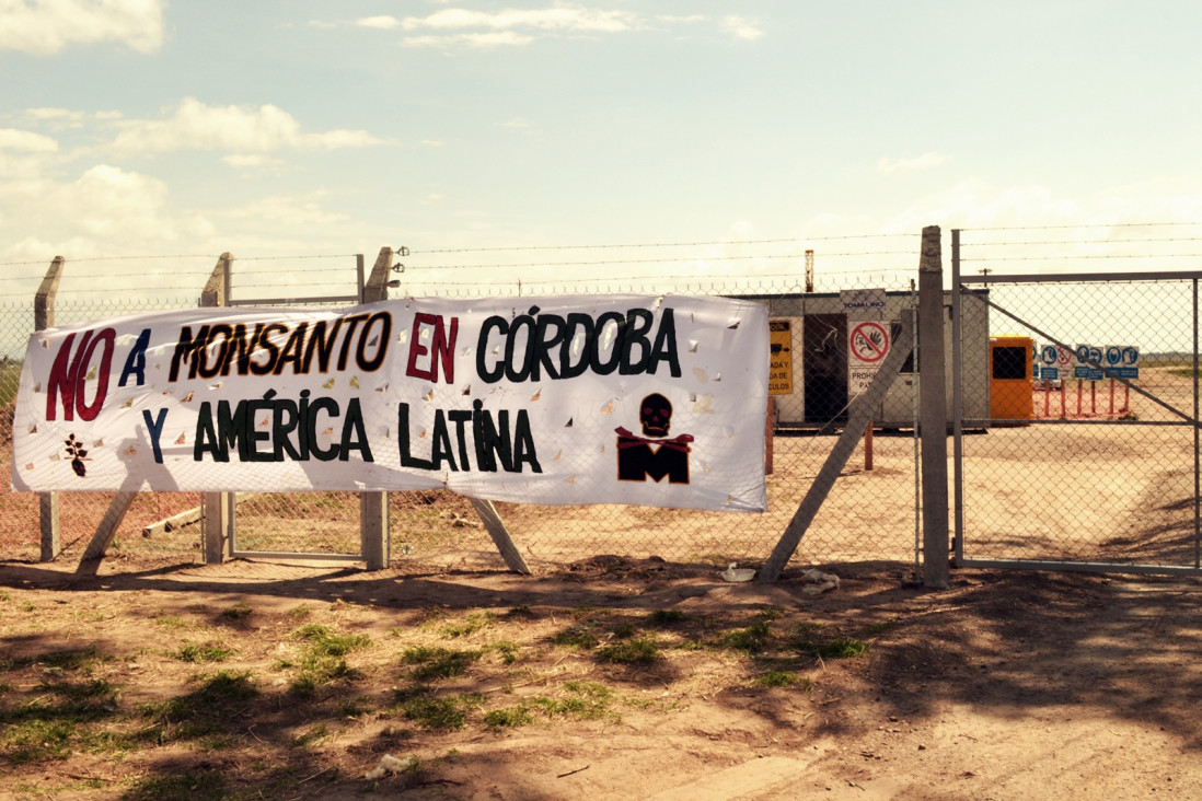imagen Monsanto se retira de Malvinas Argentinas, según altos ejecutivos de la compañía