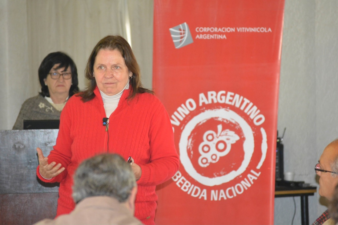 imagen Hilda Wilhelm: "Este nuevo valor del dólar da competitividad para las exportaciones"