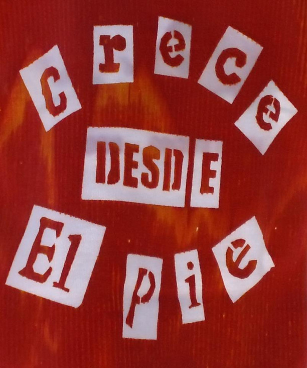 imagen Asociación "Crece desde el Pie" en la columna de Economía Social