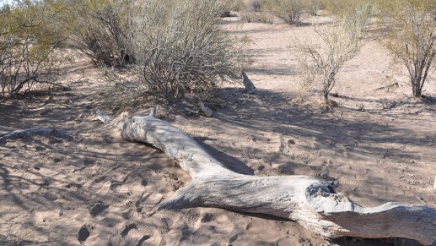 imagen ¿Cuál es el imaginario ambiental de Mendoza?