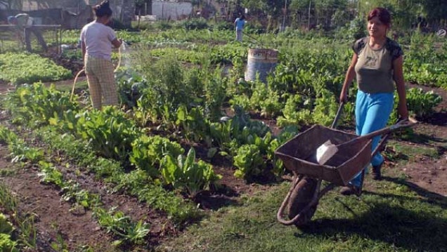 imagen La realidad de los pequeños productores de la provincia desde dos perspectivas