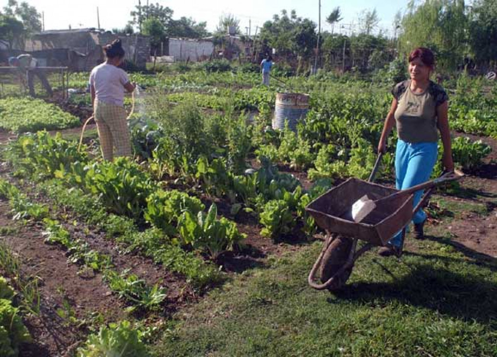 imagen La realidad de los pequeños productores de la provincia desde dos perspectivas