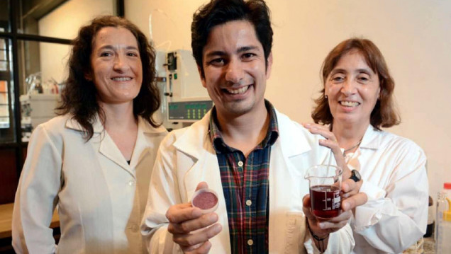 imagen Aunque Ud. no lo crea: inventaron vino en polvo
