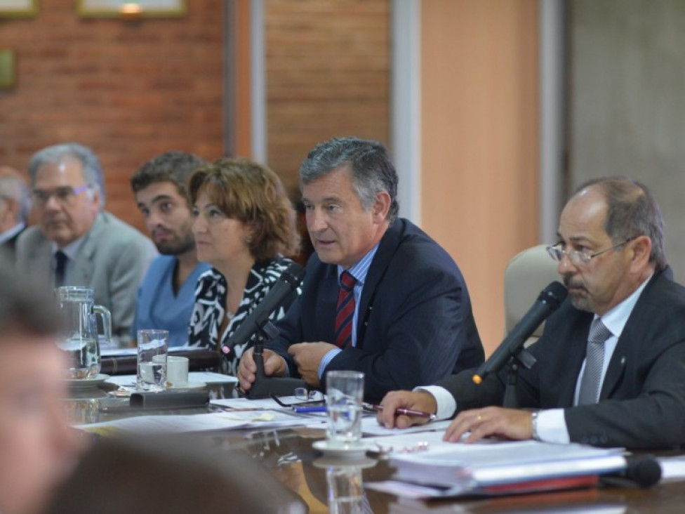 imagen La UNCUYO creó su propio protocolo para actuar ante casos de violencia de género