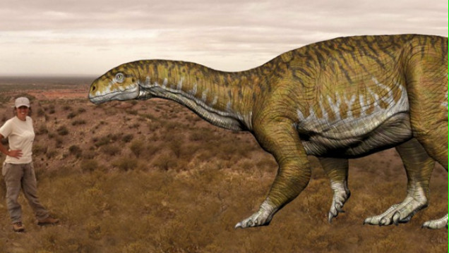 imagen Cecilia Aspaldetti: "Nunca esperamos encontrar un dinosaurio de este tamaño"