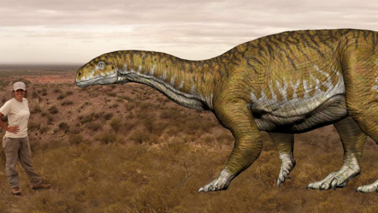 imagen Cecilia Aspaldetti: "Nunca esperamos encontrar un dinosaurio de este tamaño"