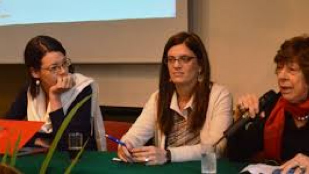 imagen El sitio web sobre despenalización del aborto en Argentina